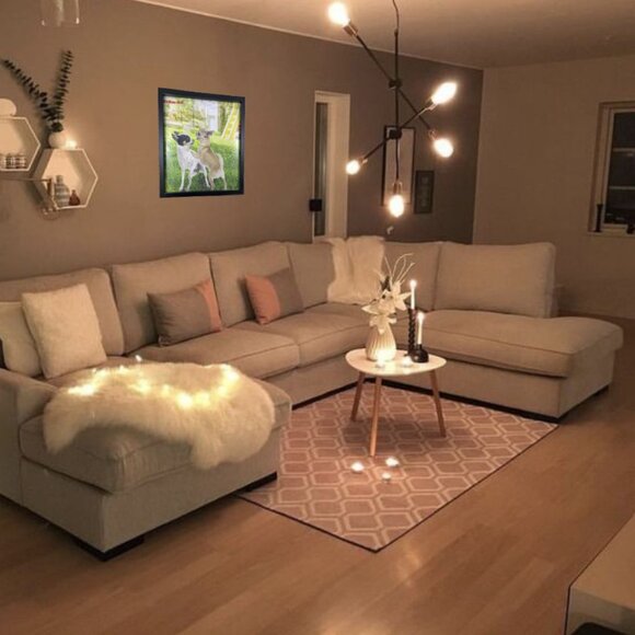 Amazing Fun Dog Decorations Art Poster (Unframed) (Chihuahua 12"x12" (30x30cm)) - Picture 1 of 7